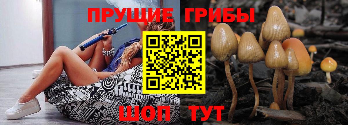 Псилоцибиновые грибы мицелий Кольчугино
